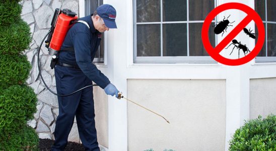 Patnos Bit İlaçlama böcek ilaçlama ve haşere kontrolü — ilaclama-tr.com